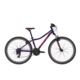 ROWER KELLYS NAGA 70 13.5" PURPLE