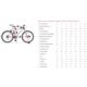 ROWER TREK ROSCOE 6 19,5 LITHIUM GREY COBRA BLOOD