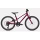 ROWER SPECIALIZED JETT 20" INT GLOSS RASPBERRY