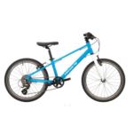 ROWER CHECKER PIG 20" BLUE