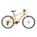 ROWER CHECKER PIG 24" ORANGE