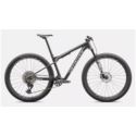 ROWER SPECIALIZED EPIC WC EXPERT L SATIN CARBON