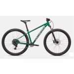 ROWER SPECIALIZED ROCKHOPPER SPORT M 29 GLOSS PINE