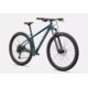 ROWER SPECIALIZED ROCKHOPPER EXPERT L 29 GLOSS EME