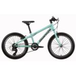 ROWER BIANCHI 20" XR20 V-BRAKE